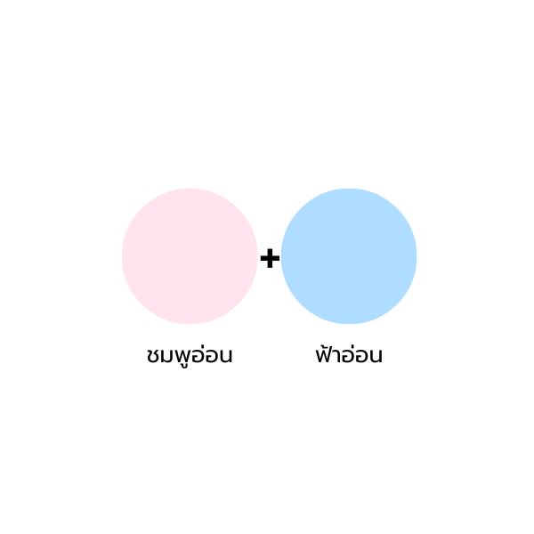 สียางจัดพาสเทล